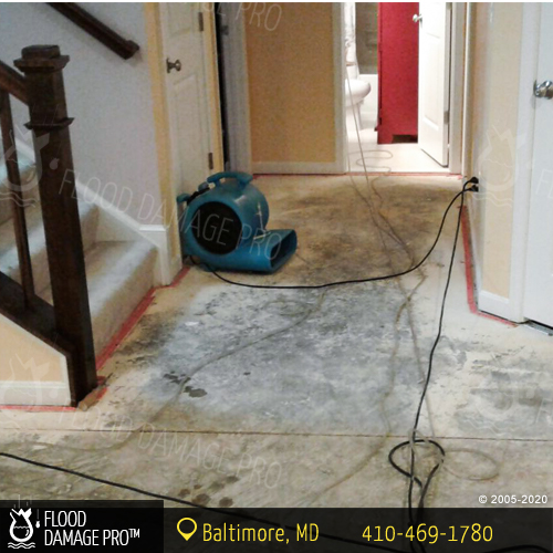 Flood Damage Pro of Baltimore