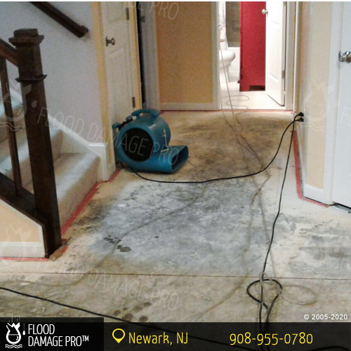 Flood Damage Pro of Newark