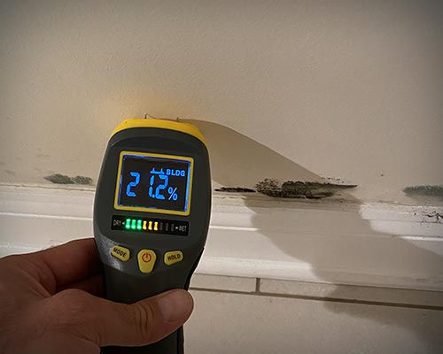 Four Clues You Have Mold in The House