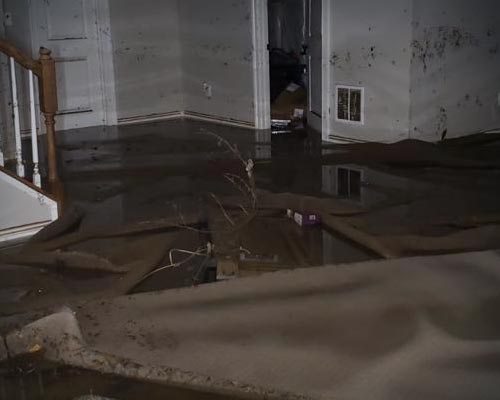 Storm & Water Damage