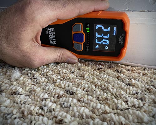 Mold Remediation Process