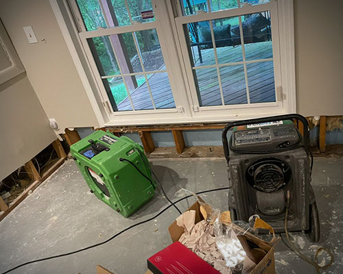 The Relationship Between Water Damage & Mold Growth