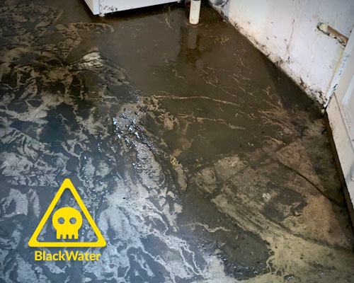 What Is Water Damage