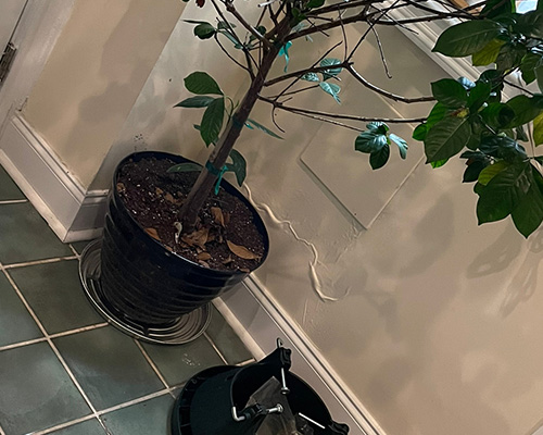 Water Damage Restoration in Washington, DC