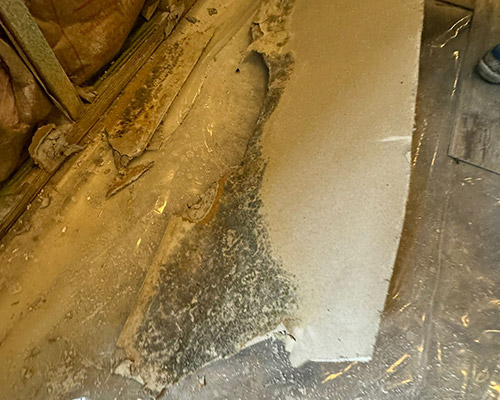 Water Damage Restoration in Baltimore, MD Water Damage Restoration in Baltimore, MD